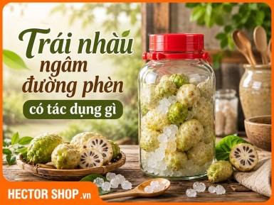 Công Dụng Của Trái Nhàu Ngâm Đường Phèn Đối Với Sức Khỏe