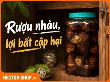 Những lầm tưởng về tác dụng khi uống trái nhàu ngâm rượu