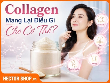 Collagen Có Tác Dụng Gì? Hiểu Đúng Trước Khi Uống
