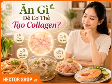 Ăn Gì Để Bổ Sung Collagen? Những Thực Phẩm Nên Ưu Tiên
