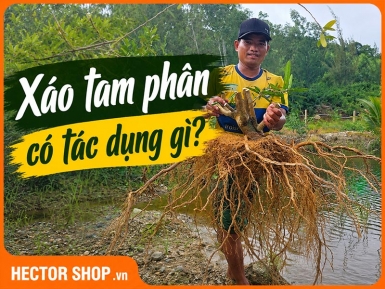 Xáo Tam Phân Có Tác Dụng Gì? 5 Lợi Ích Chuẩn Y Khoa