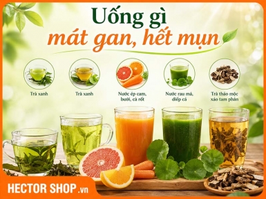 Uống Gì Cho Mát Gan Hết Mụn? 5 Thức Uống Từ Tự Nhiên