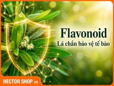 Hoạt Chất Flavonoid Trong Xáo Tam Phân Tác Động Thế Nào?