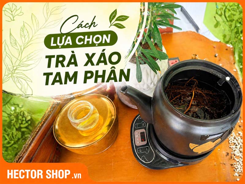 Cách Chọn Trà Xáo Tam Phân Phù Hợp Theo Nhu Cầu