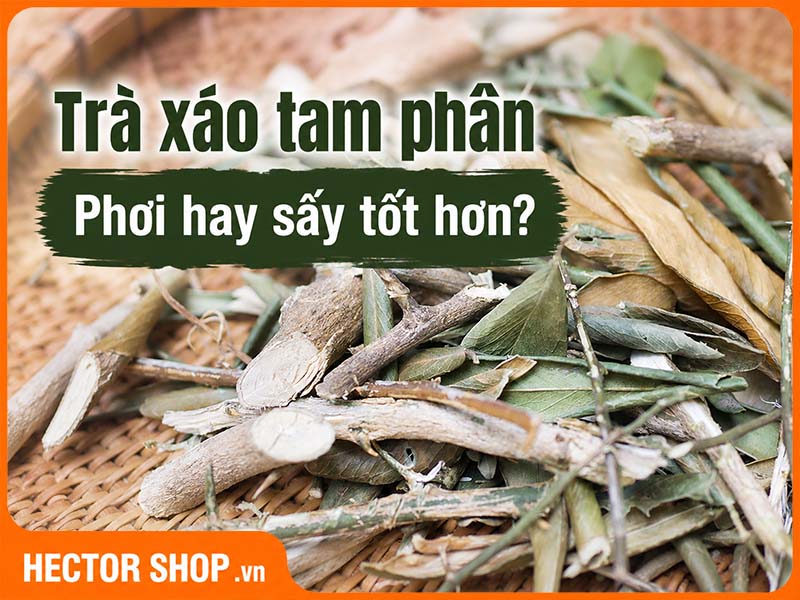 Trà Xáo Tam Phân Sấy Khô Và Phơi Truyền Thống Khác Nhau Thế Nào?