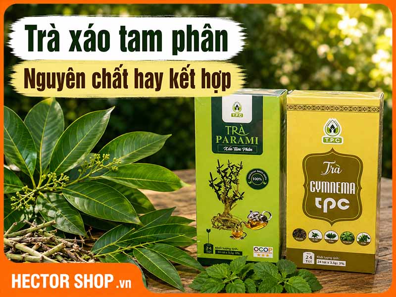 Trà Túi Lọc Xáo Tam Phân Nguyên Chất Và Thảo Mộc Khác Nhau Thế Nào?