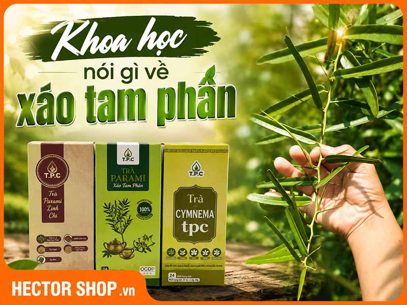 Bằng Chứng Khoa Học Về Xáo Tam Phân: Nghiên Cứu Nói Gì?