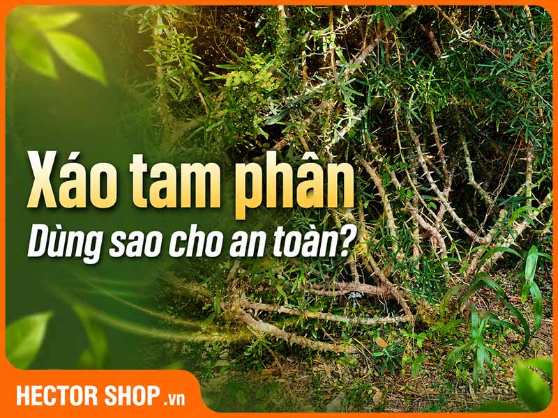 An Toàn Khi Dùng Xáo Tam Phân: Những Điều Cần Biết