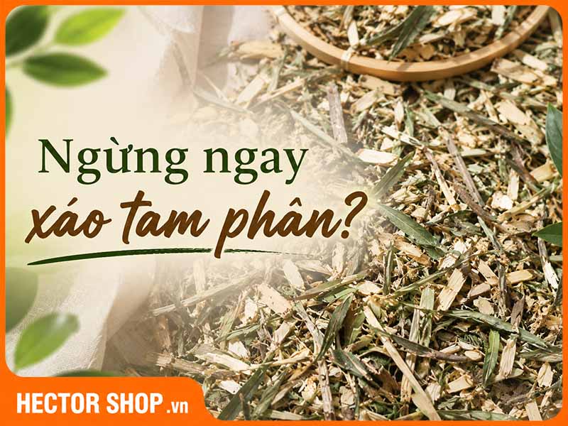 Khi Nào Nên Ngừng Dùng Xáo Tam Phân Và Đi Khám?