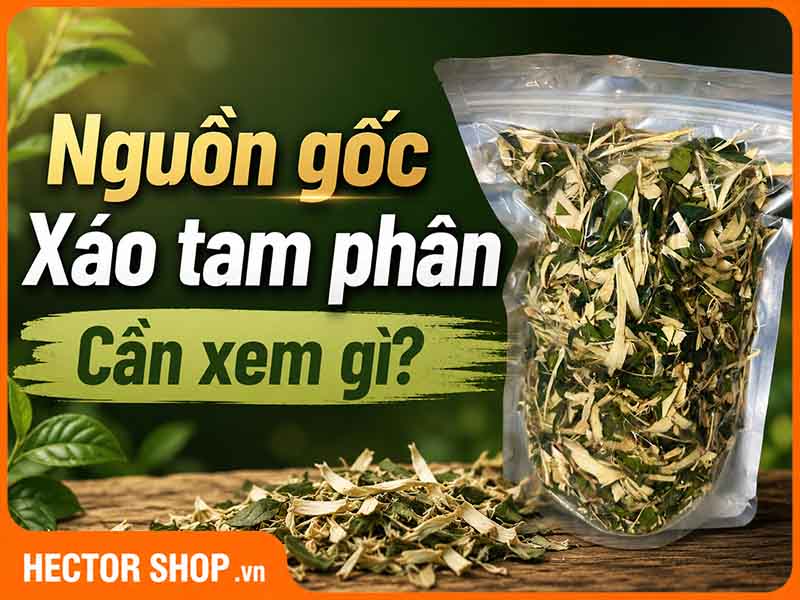 Nguồn Gốc & Hồ Sơ Trà Xáo Tam Phân: Xem Kỹ Trước Khi Mua