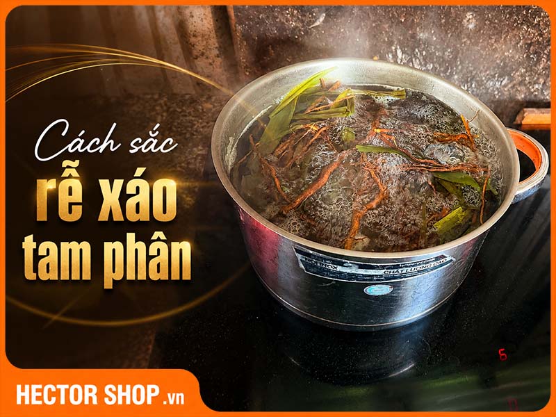 Cách Sắc Rễ Xáo Tam Phân: Thời Gian Nấu Và Cách Dùng Lại