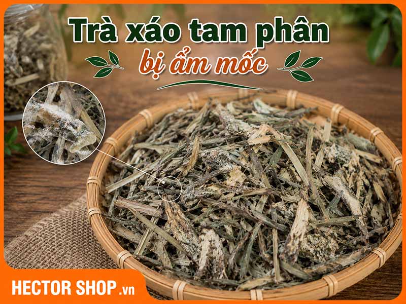 Dấu Hiệu Trà Xáo Tam Phân Bị Ẩm Hoặc Mốc Và Cách Xử Lý