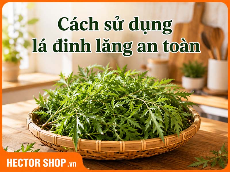 Cách Sử Dụng Lá Đinh Lăng Đúng Cách Và An Toàn