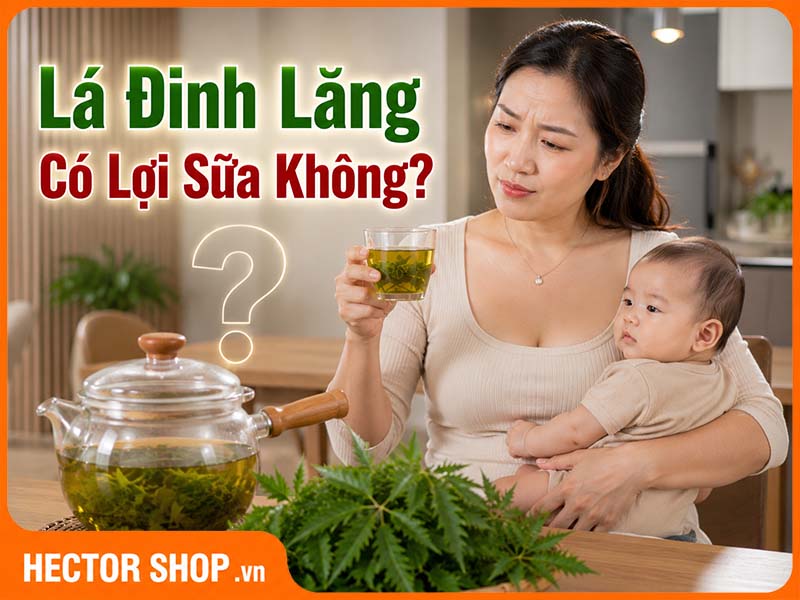 Lá Đinh Lăng Có Giúp Lợi Sữa Không? Bí Mật Của Mẹ Sau Sinh