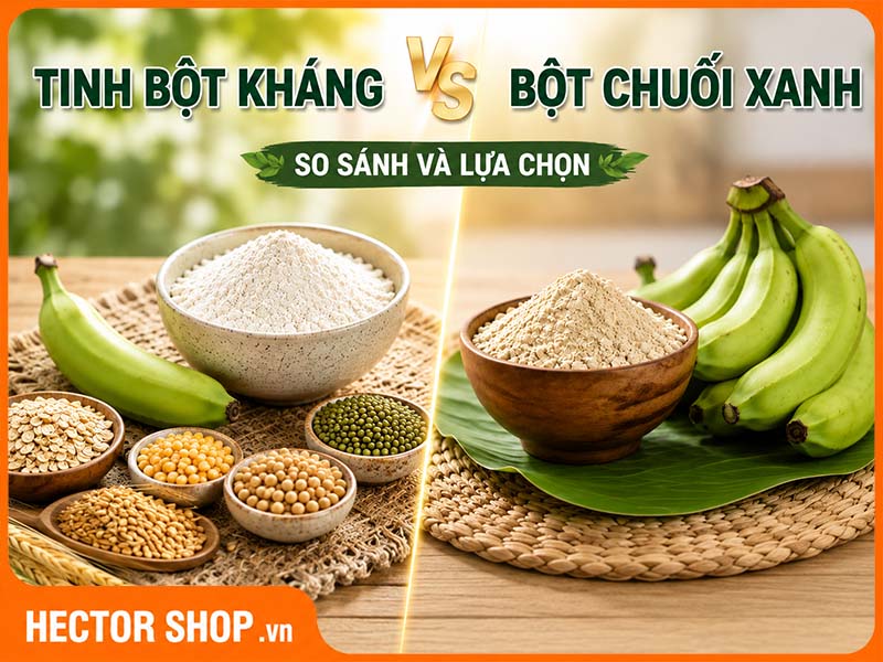 Bột Chuối Xanh Và Tinh Bột Kháng Khác Nhau Như Thế Nào?