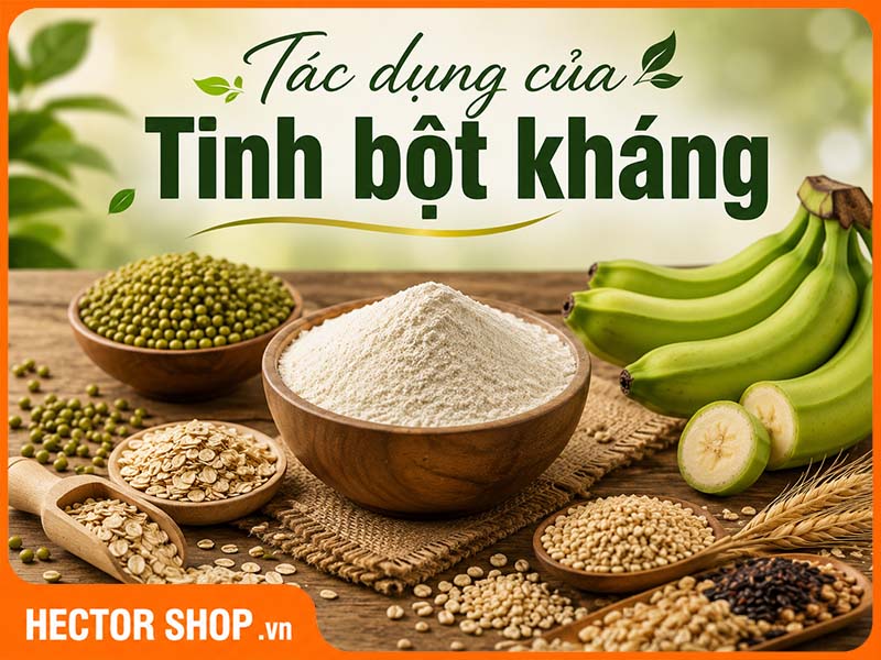 Tác Dụng Của Tinh Bột Kháng: 5 Lợi Ích Đáng Chú Ý