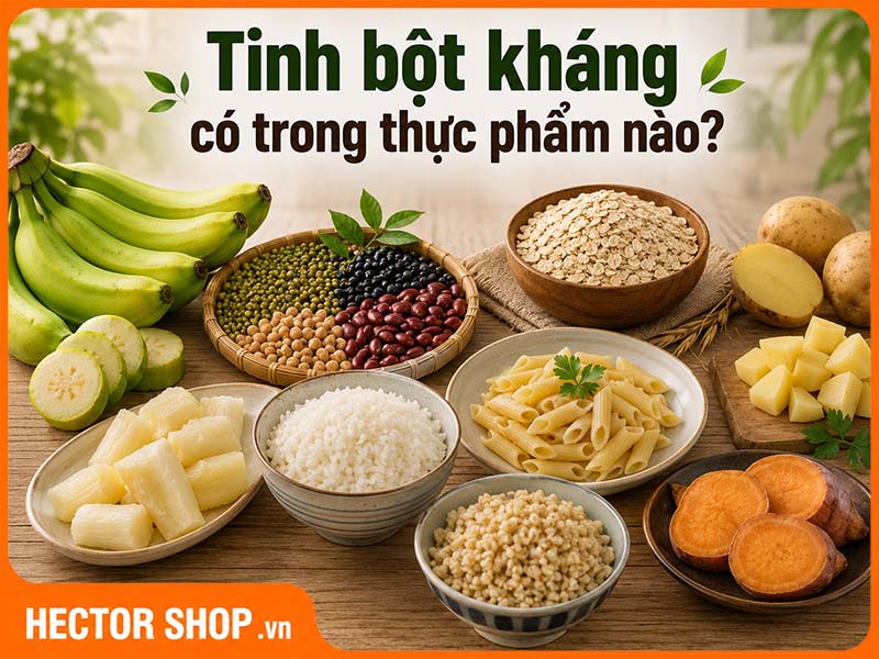 Tinh Bột Kháng Có Trong Thực Phẩm Nào? 10 Nguồn Phổ Biến