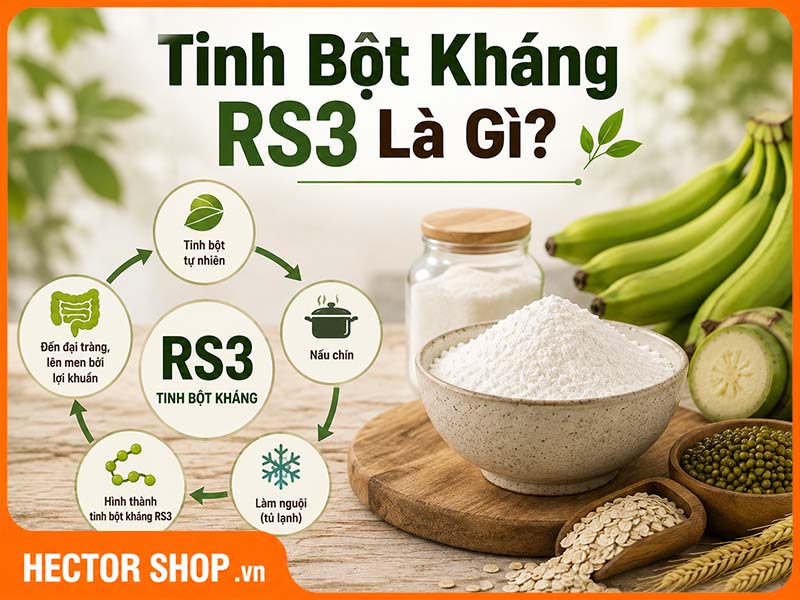Tinh Bột Kháng RS3 Là Gì? Đặc Điểm Và Cách Hình Thành
