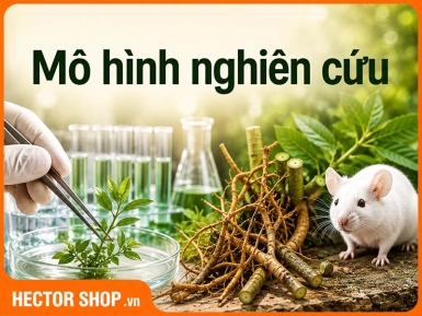 In-vitro, Động Vật Và Thử Nghiệm Trên Người Khác Nhau Thế Nào?