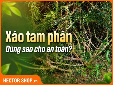 An Toàn Khi Dùng Xáo Tam Phân: Những Điều Cần Biết