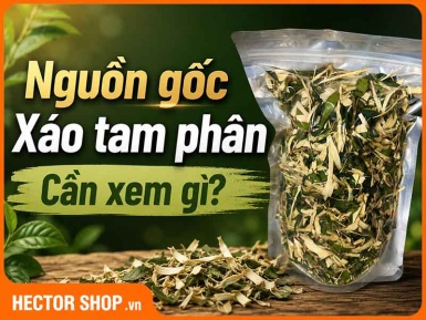 Nguồn Gốc & Hồ Sơ Trà Xáo Tam Phân Tại Hector Shop