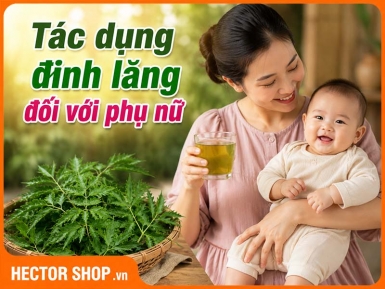 Lá Đinh Lăng Có Tác Dụng Gì Với Phụ Nữ?