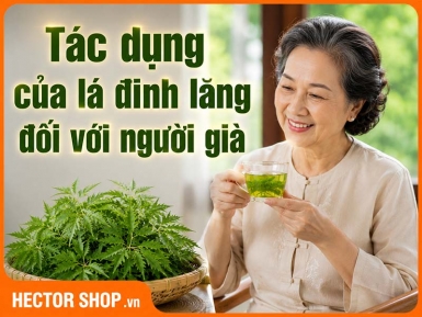 Lá Đinh Lăng Có Tác Dụng Gì Với Người Già?