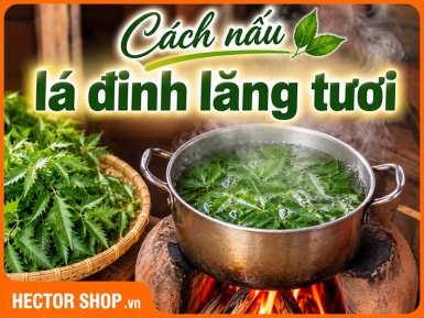 Cách Nấu Nước Lá Đinh Lăng Tươi Đúng Cách, Dễ Làm