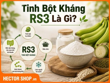 Tinh Bột Kháng RS3 Là Gì? Đặc Điểm Và Cách Hình Thành