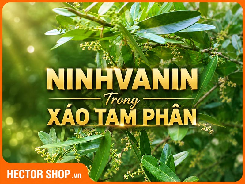 Ninhvanin Là Gì? Tác Dụng Của Ninhvanin Trong Xáo Tam Phân