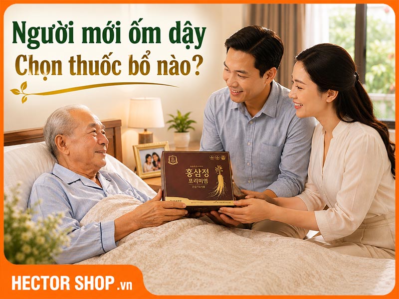 Thuốc bổ cho người già mới ốm dậy: Bổ gì để hồi phục?