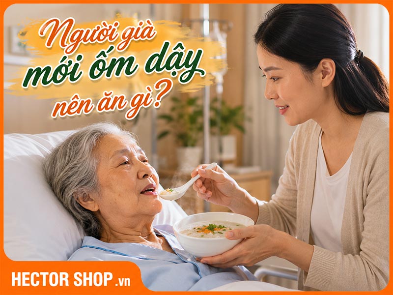 Người già mới ốm dậy nên ăn gì để nhanh hồi phục sức khoẻ?