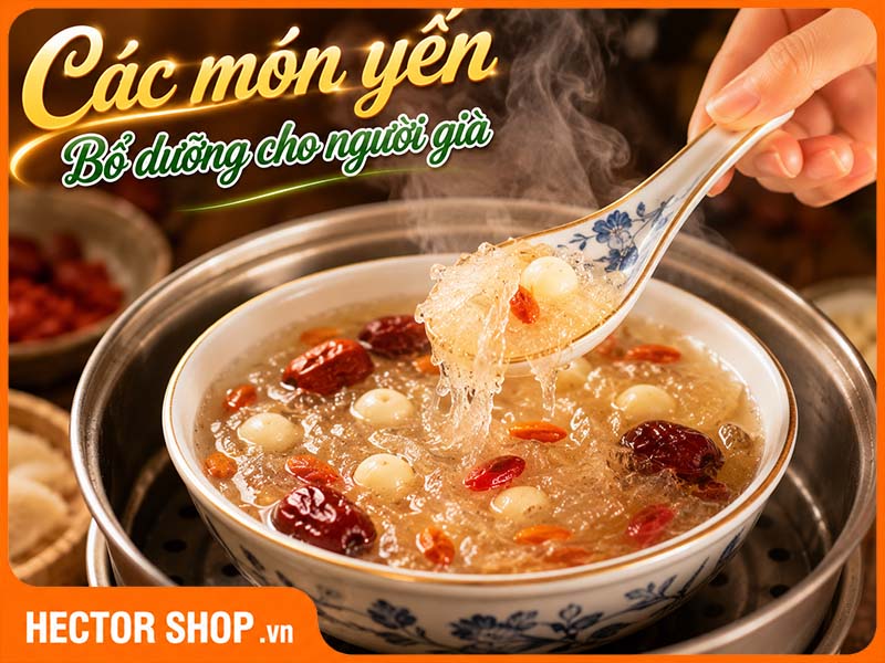 Yến cho người già: Loại nào phù hợp, dùng thế nào cho đúng?