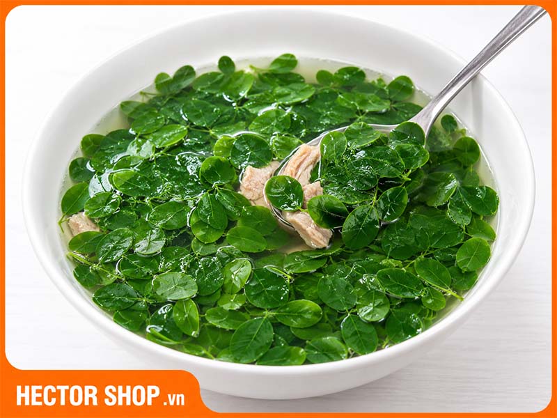Những Ai Nên Ăn Rau Chùm Ngây