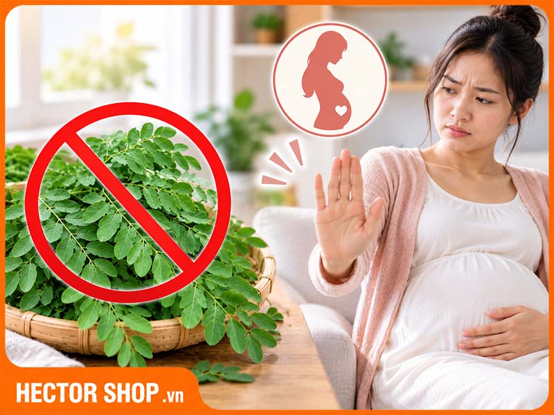 Vì Sao Phụ Nữ Mang Thai Không Nên Dùng Rau Chùm Ngây?