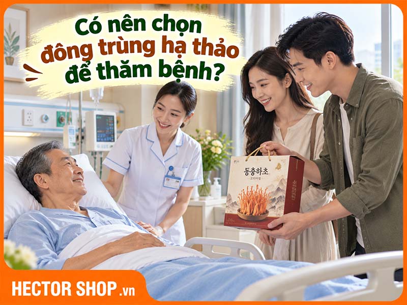 Có Nên Mua Đông Trùng Hạ Thảo Đi Thăm Bệnh?