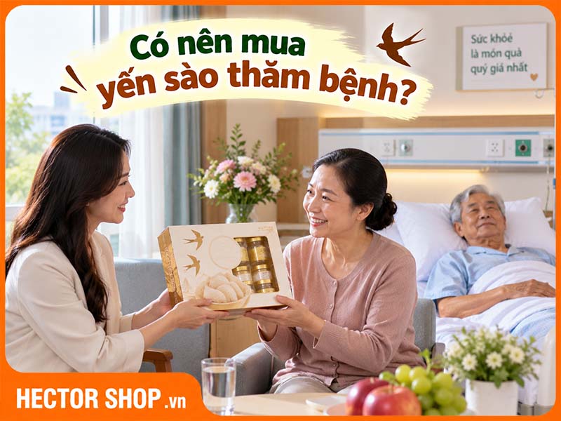 Đi thăm bệnh có nên mua yến không? Khi nào phù hợp?