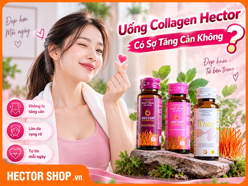 Hector White, Collagen và Collagen Plus Có Gây Tăng Cân Không?