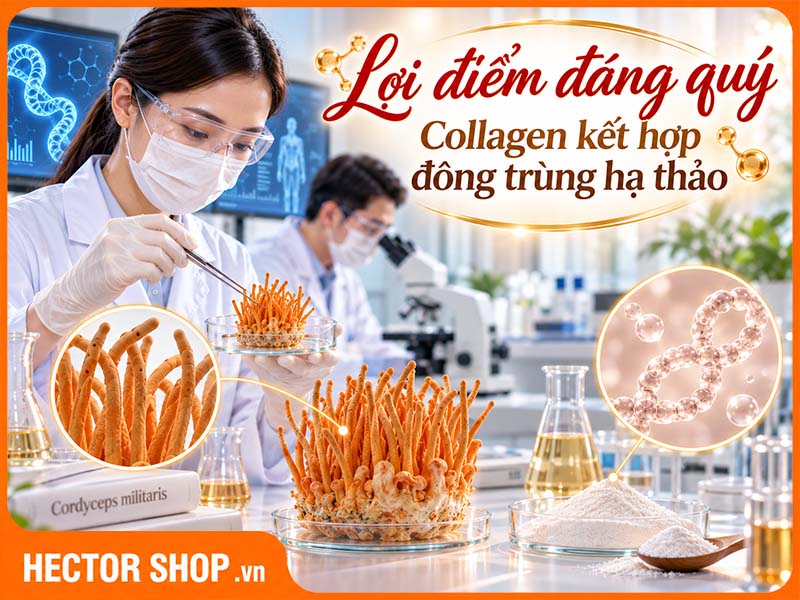 Collagen Kết Hợp Đông Trùng Hạ Thảo Có Lợi Điểm Gì