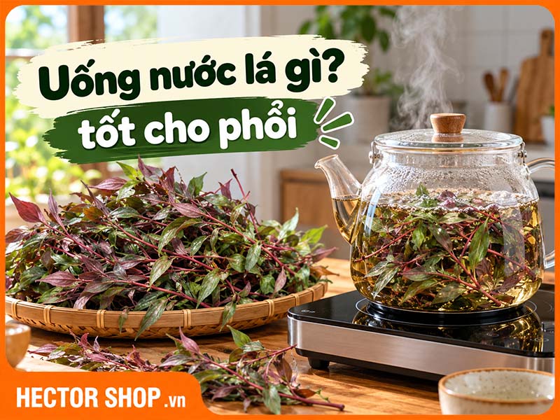 Uống Lá Cây Gì Tốt Cho Phổi? Những Loại Lá Nên Biết