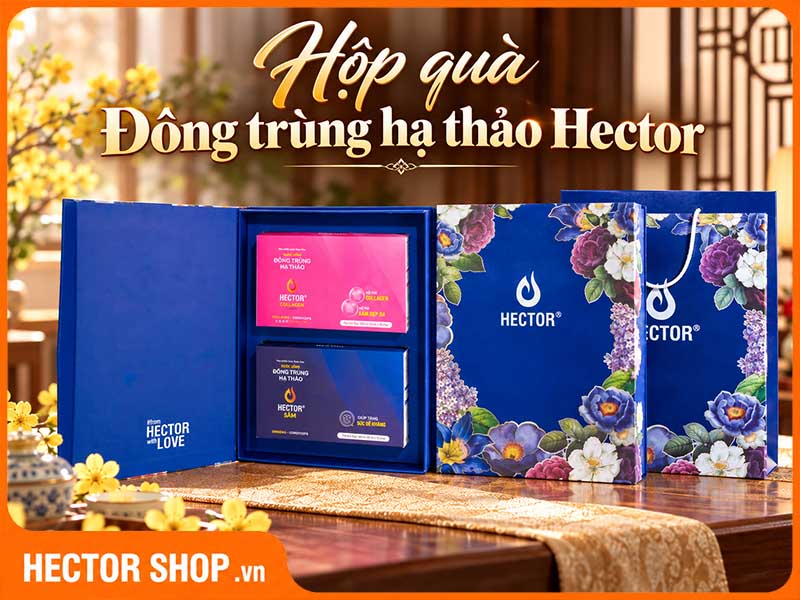 Hộp Quà Đông Trùng Hạ Thảo Hector Sang Trọng Và Ý Nghĩa