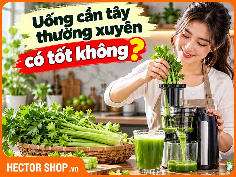 Uống Cần Tây Thường Xuyên Có Tốt Không? Có Hại Gan Thận Không?