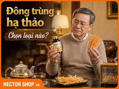 Đông trùng hạ thảo cho người già: Có tốt và phù hợp không?