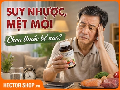Thuốc bổ cho người già suy nhược, mệt mỏi: Cần gì bổ đó