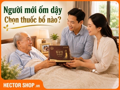 Thuốc bổ cho người già mới ốm dậy: Bổ gì để hồi phục?