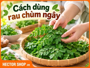 Cách Sử Dụng Rau Chùm Ngây Dạng Tươi, Trà Khô, Bột