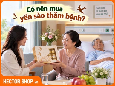 Đi thăm bệnh có nên mua yến không? Khi nào phù hợp?