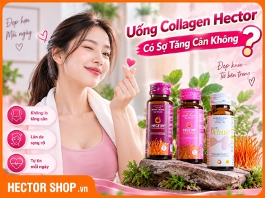 Hector White, Collagen và Collagen Plus Có Gây Tăng Cân Không?