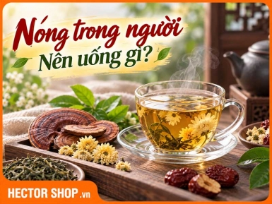 Nóng Trong Người Nên Uống Gì? Chọn Nước Theo Từng Trường Hợp