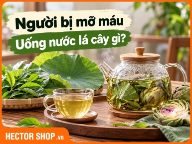 Uống Nước Lá Gì Để Giảm Mỡ Máu? Loại Nào Có Cơ Sở?